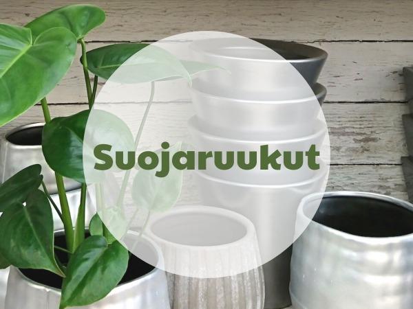 Suojaruukut